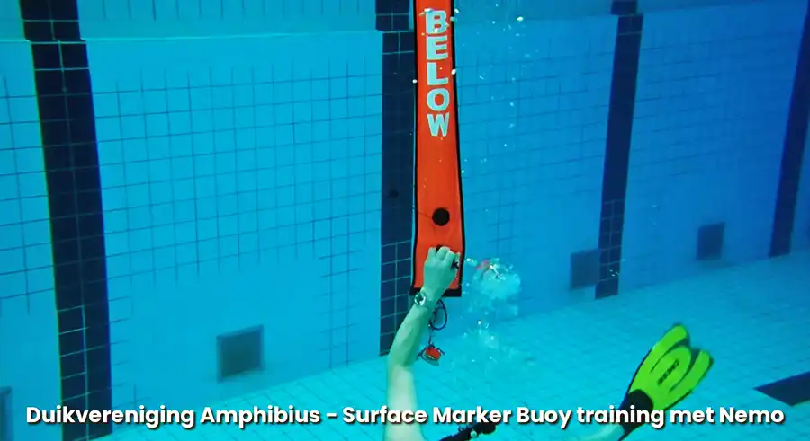 Duikvereniging Amphibius SMB training met Nemo