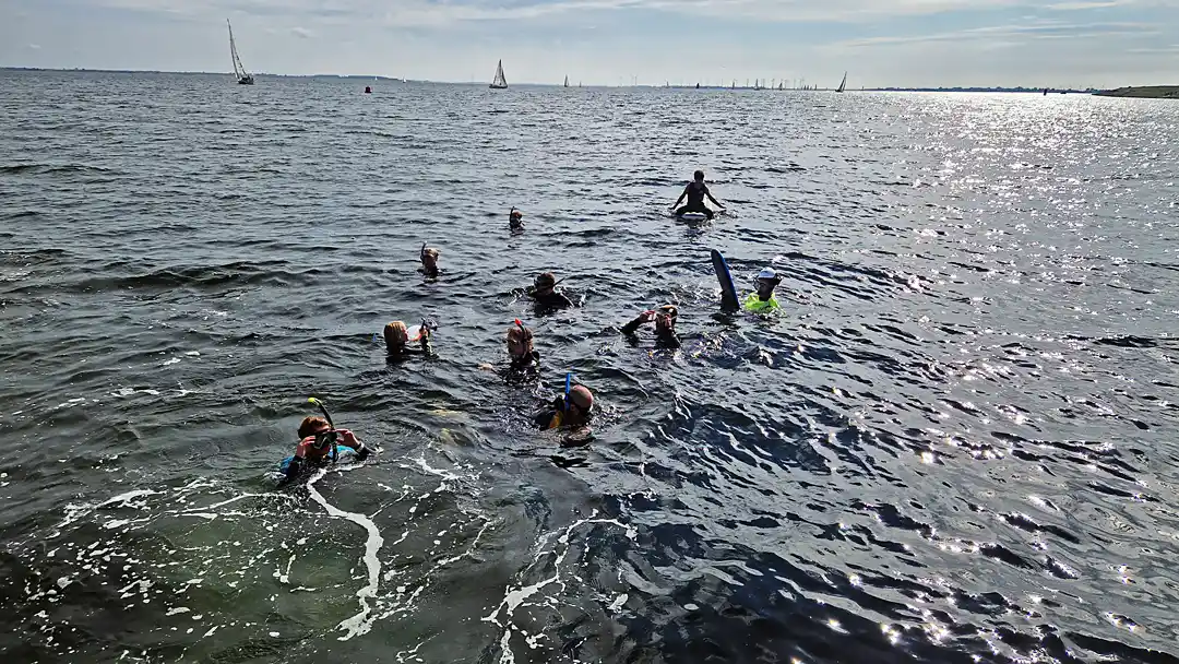 Nagenoeg het hele gezelschap is klaar om aan de lange snorkeltocht te beginnen