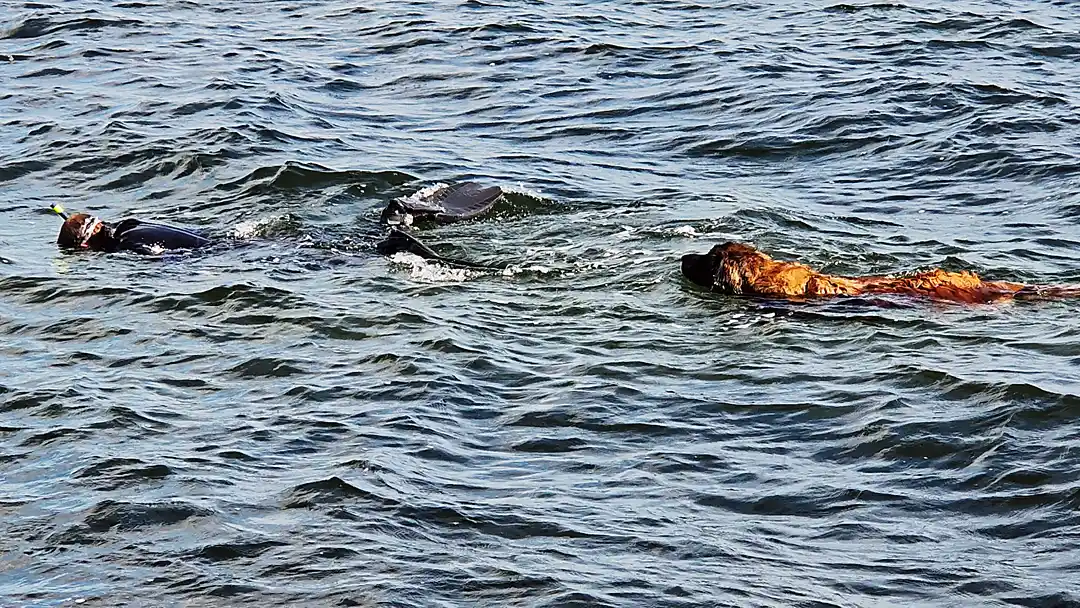 Snorkelaar in een iets minder typischse snorkeloutfit